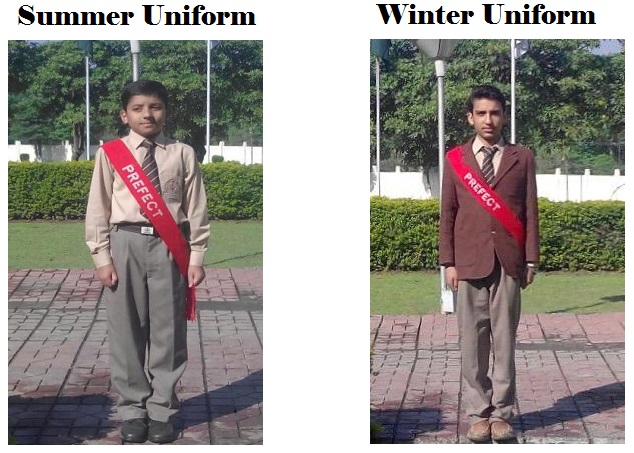 Uniform Guidelines