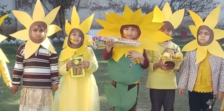 Sunflower and Cultural Day
