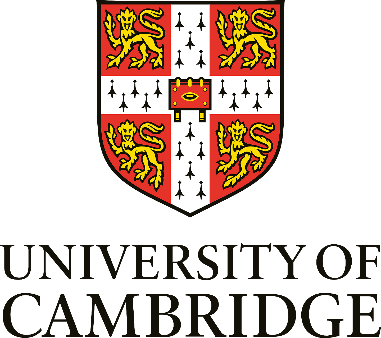 CAMBRIDGE UNIVERSIRT