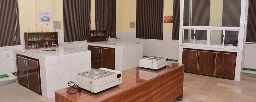 labs labs