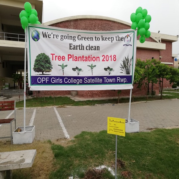 Tree Plantation 2018